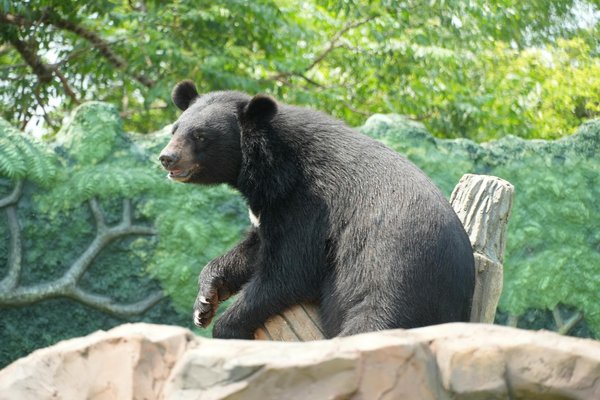 Assurance maladie et congé maternité : tout savoir